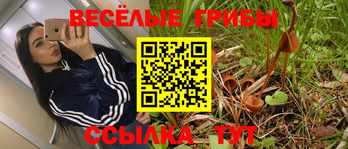Галлюциногенные грибы мицелий Горно-Алтайск