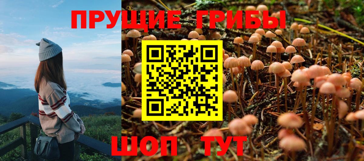 Галлюциногенные грибы Cubensis  Вход с VPN  Галлюциногенные грибы GOLDEN TEACHER  Горно-Алтайск 